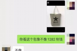 龙文要账公司哪里找？专业追收，解决您的债务难题